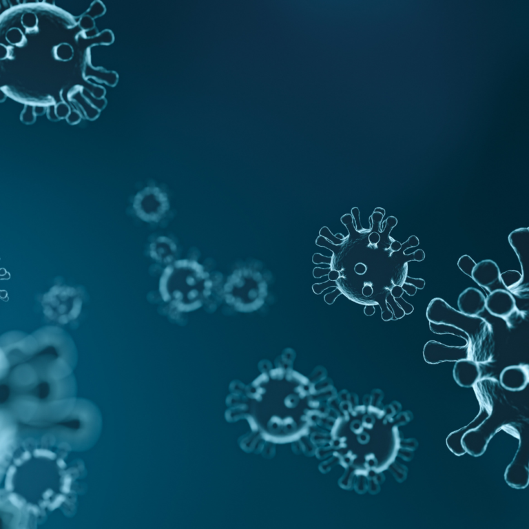 Ce este un virus: o particulă fără metabolism propriu, care nu face nimic &icirc;n afara unei celule