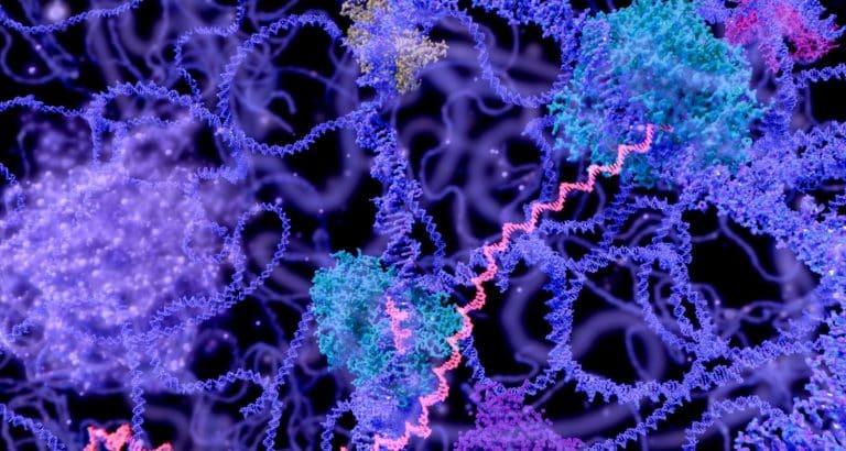 Cum este ADN-ul transformat &icirc;n proteină? Totul despre Dogma Centrală a Biologiei Moleculare