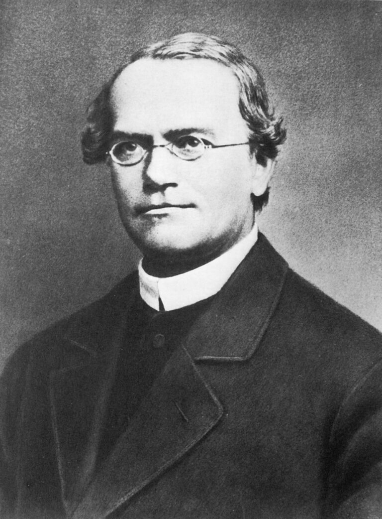 Gregor Mendel: &bdquo;Părintele geneticii&rdquo;
