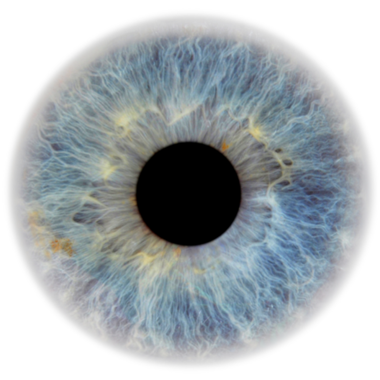 Pycnogenol&reg; pentru retinopatia diabetică: Un aliat eficient &icirc;n lupta &icirc;mpotriva pierderii vederii