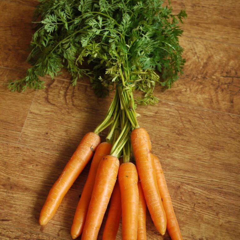 Morcovii nu &icirc;mbunătățesc vederea la cine nu are deficit de vitamina A