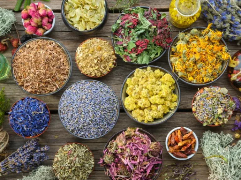 Ayurveda promite echilibru &mdash; dar ce anume echilibrează, biologic vorbind