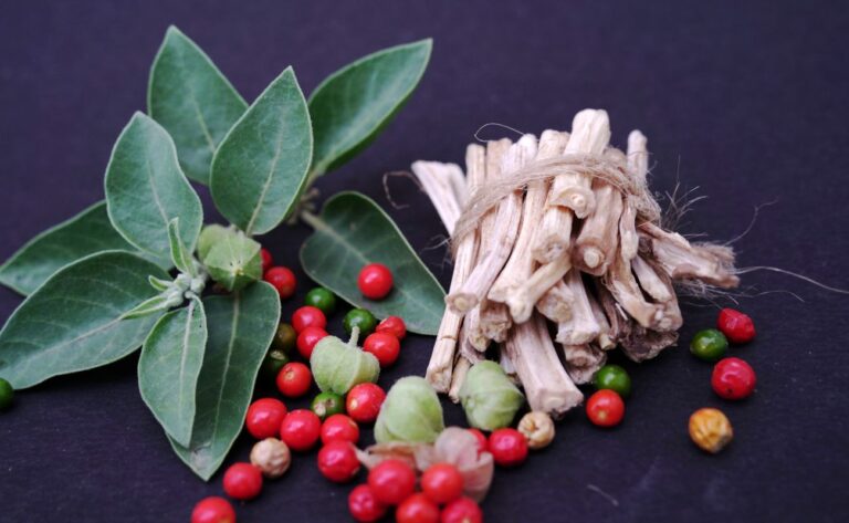 Ashwagandha nu sedeaza si nu stimuleaza &mdash; modeleaza un sistem care functioneaza deja