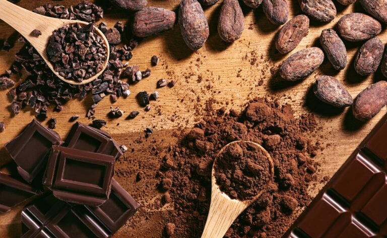 Pudră de cacao: cel mai mare studiu randomizat nu și-a atins obiectivul principal