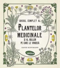 Ghidul complet al plantelor medicinale: ce poate face fitoterapia și unde se oprește