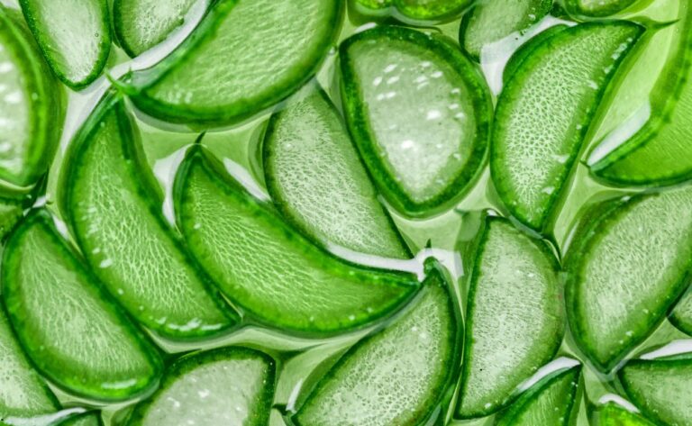 Aloe vera: gelul din frunză calmează pielea, dar latexul de sub coajă este un laxativ puternic cu riscuri reale