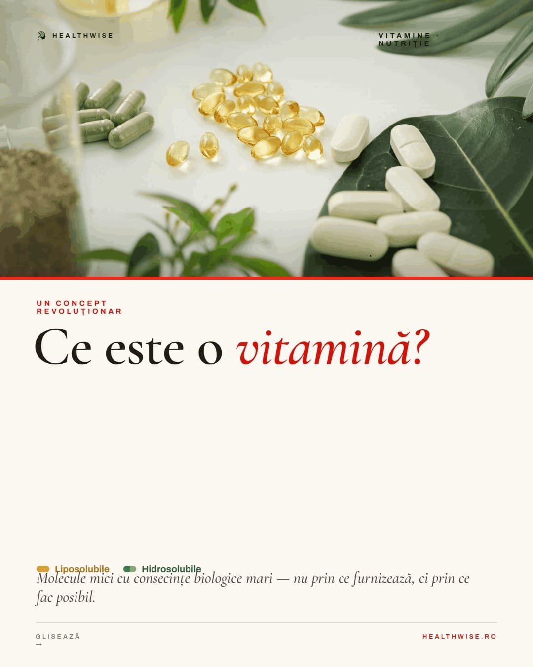 Vitamins and supplements on display