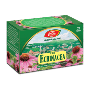 Ceai Echinacea, 20 plicuri, Fares