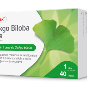 Dr. Max Ginkgo Biloba 60mg, 40 capsule moi