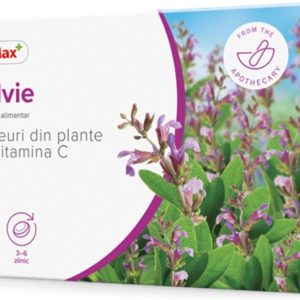 Dr. Max Drajeuri din plante cu salvie si vitamina C, 24 drajeuri