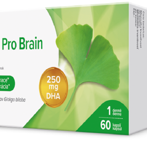 Dr. Max Ginkgo Pro Brain, 60 capsule moi