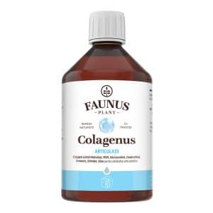 Colagen lichid pentru muschi si ligamente Colagenus Articulatii, 500ml, Faunus Plant