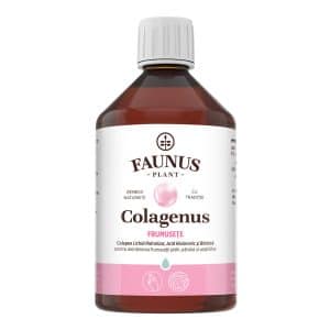 Colagen lichid pentru piele si par Colagenus Frumusete, 500ml, Faunus Plant