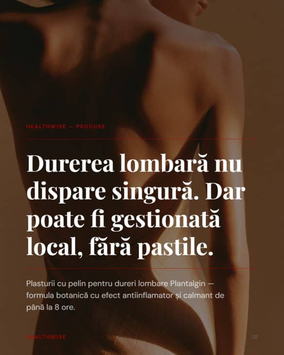 Plasturi pentru dureri lombare Plantalgin — extract de pelin și 7 uleiuri esențiale