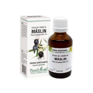 Extract din mladite de Maslin, 50 ml, Plant Extrakt