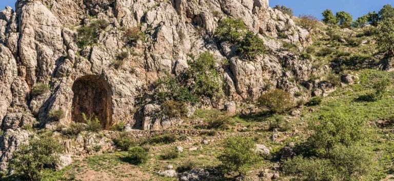 Antidotum Mithridaticum &ndash; Rețeta fricii perfecte