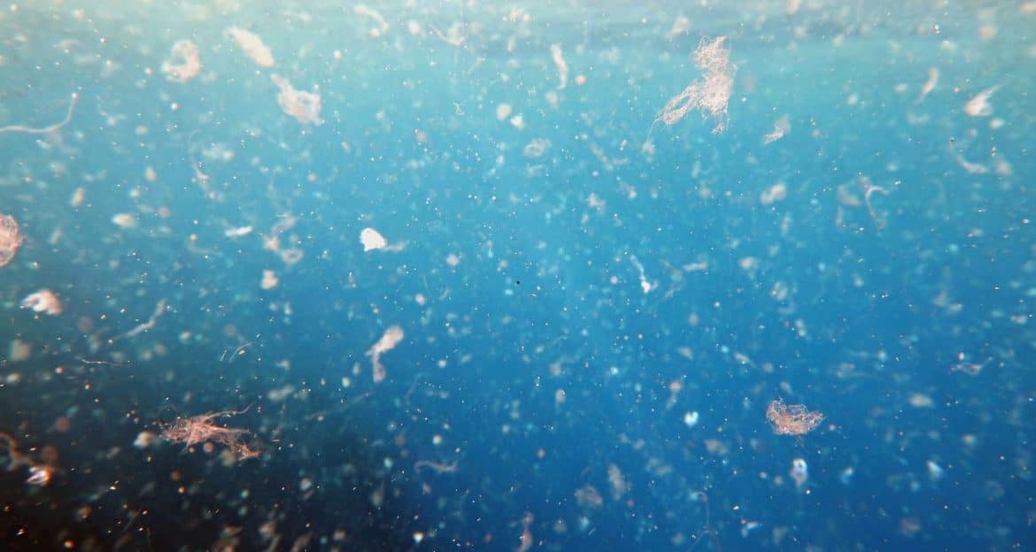 Microplasticul: ce este, cum ajunge în corpul nostru și ce putem face concret, acasă