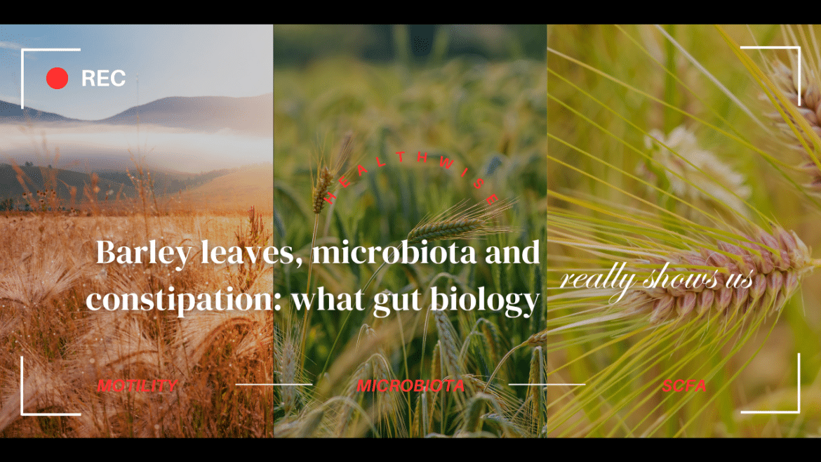 Frunzele de orz, microbiota și constipația: biologia reală a tranzitului intestinal