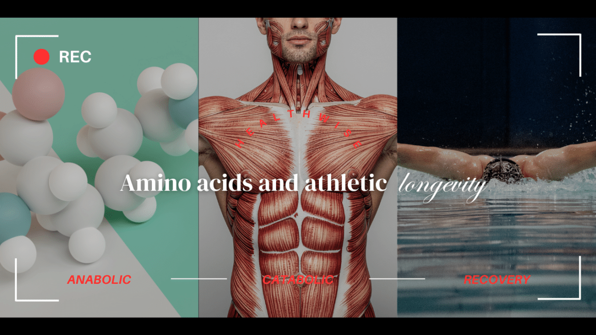 Aminoacizii și longevitatea atletică: performanță fără uzură metabolică
