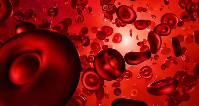 Anemia feriprivă &mdash; simptome, cauze și c&acirc;nd fierul din alimentație nu mai este suficient