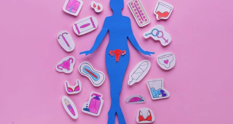 Ciclul menstrual explicat complet &mdash; cele 4 faze și ce se &icirc;nt&acirc;mplă &icirc;n fiecare