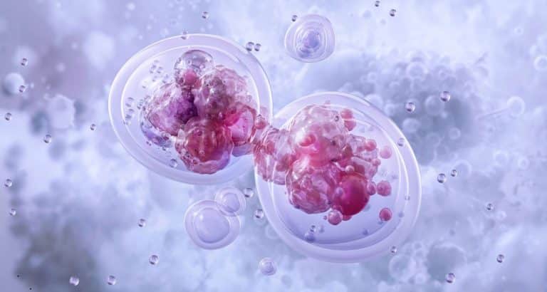 Reprogramarea celulară Yamanaka &mdash; resetarea v&acirc;rstei biologice