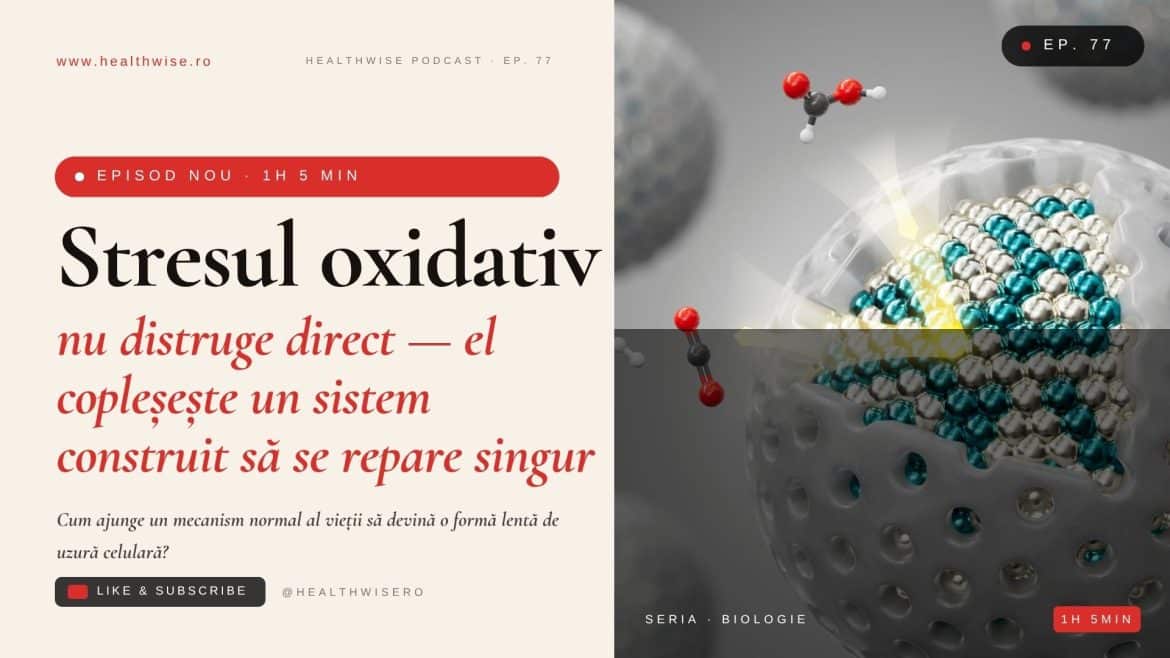 Stresul oxidativ explicat medical: radicalii liberi, inflamația și repararea celulară