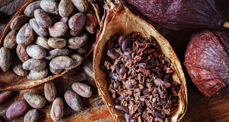 De ce unele persoane se simt mai bine după cacao dec&acirc;t după cafea: teobromina ca explicație biologică