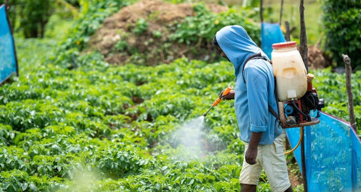 Dirty Dozen si Clean Fifteen — harta riscului relativ, nu lista interdictiilor alimentare