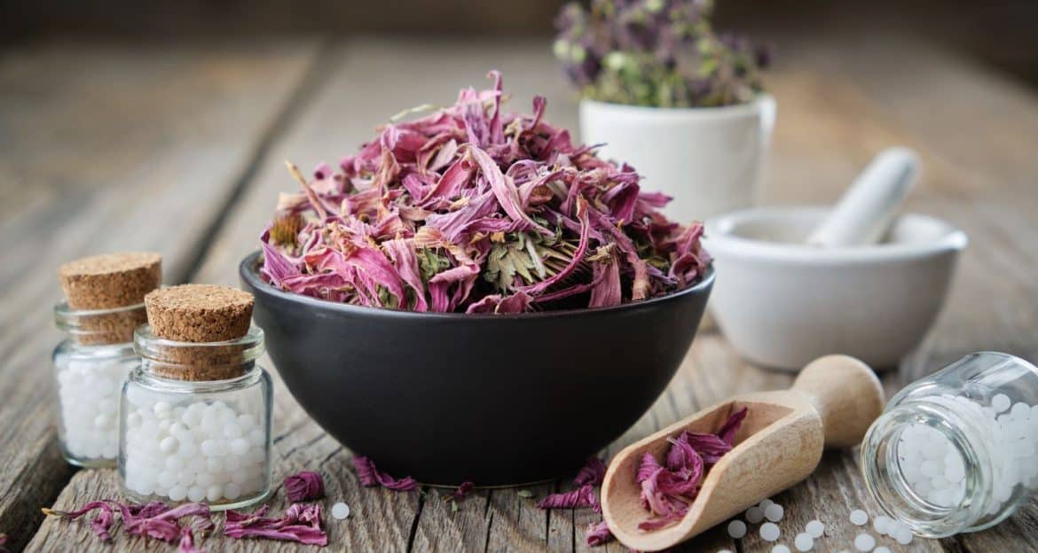 Echinacea nu „întărește” imunitatea — poate modula răspunsul imun, dar dovezile sunt mai nuanțate
