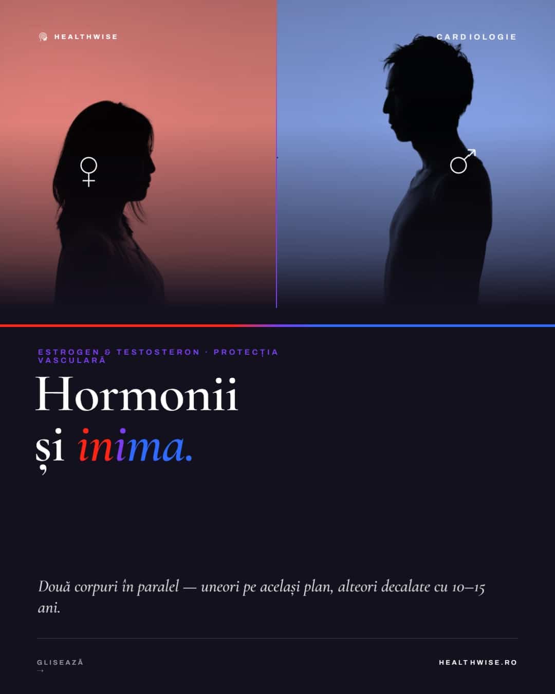 Hormonii si inima — Carousel vizual Healthwise