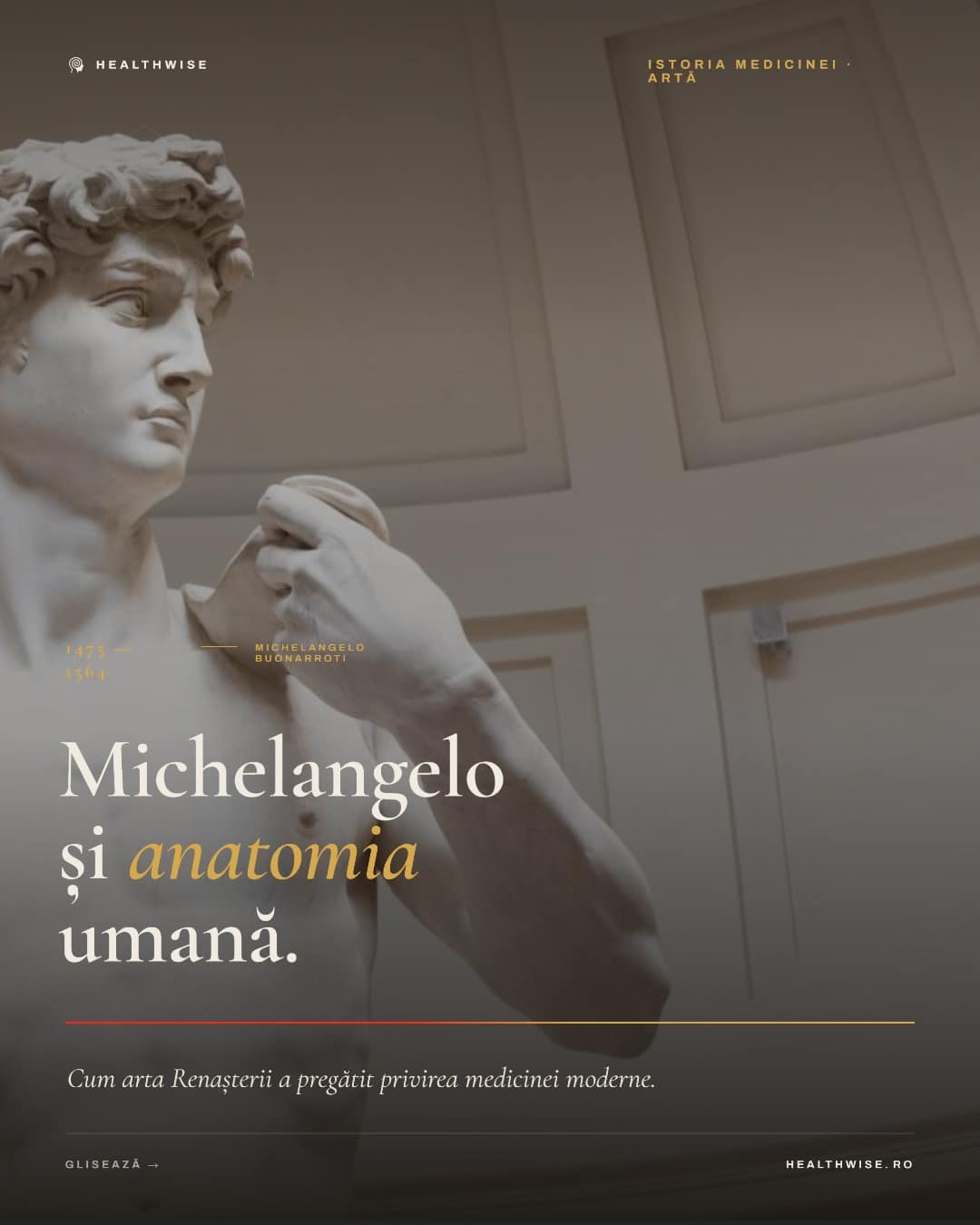 Michelangelo si anatomia umana — Carousel vizual Healthwise