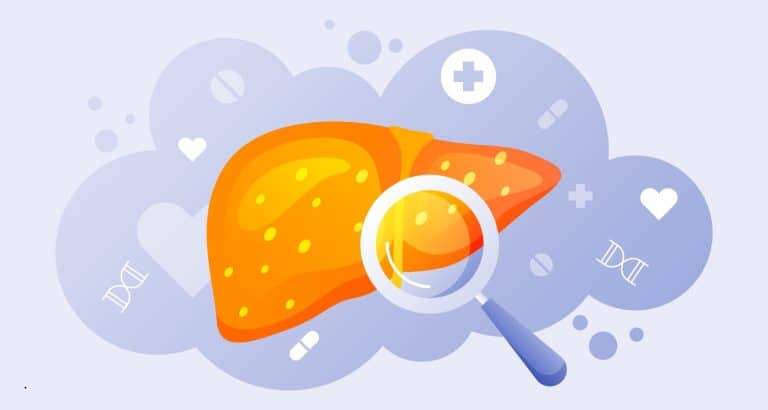 Fosfatidilcolina: molecula care leagă membranele celulare de ficat, intestin şi metabolismul grăsimilor