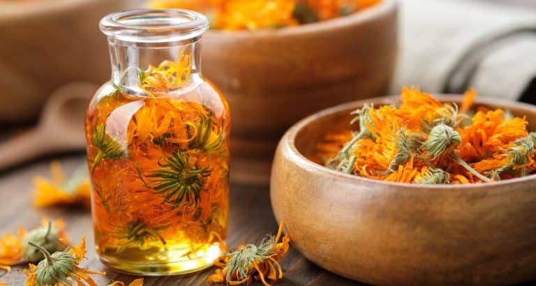 Gălbenelele &icirc;n skincare &mdash; de ce Calendula officinalis este unul dintre cele mai studiate ingrediente botanice
