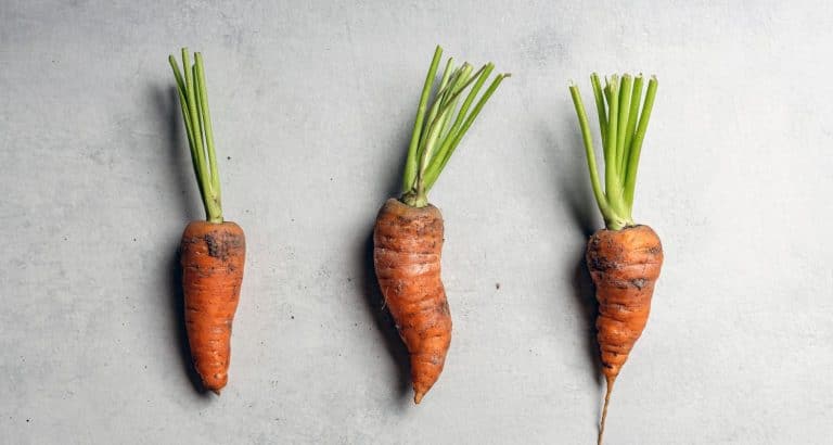 Morcovul nu este interesant pentru vitamina A &mdash; este interesant pentru ce face beta-carotenul &icirc;nainte să devină vitamina A