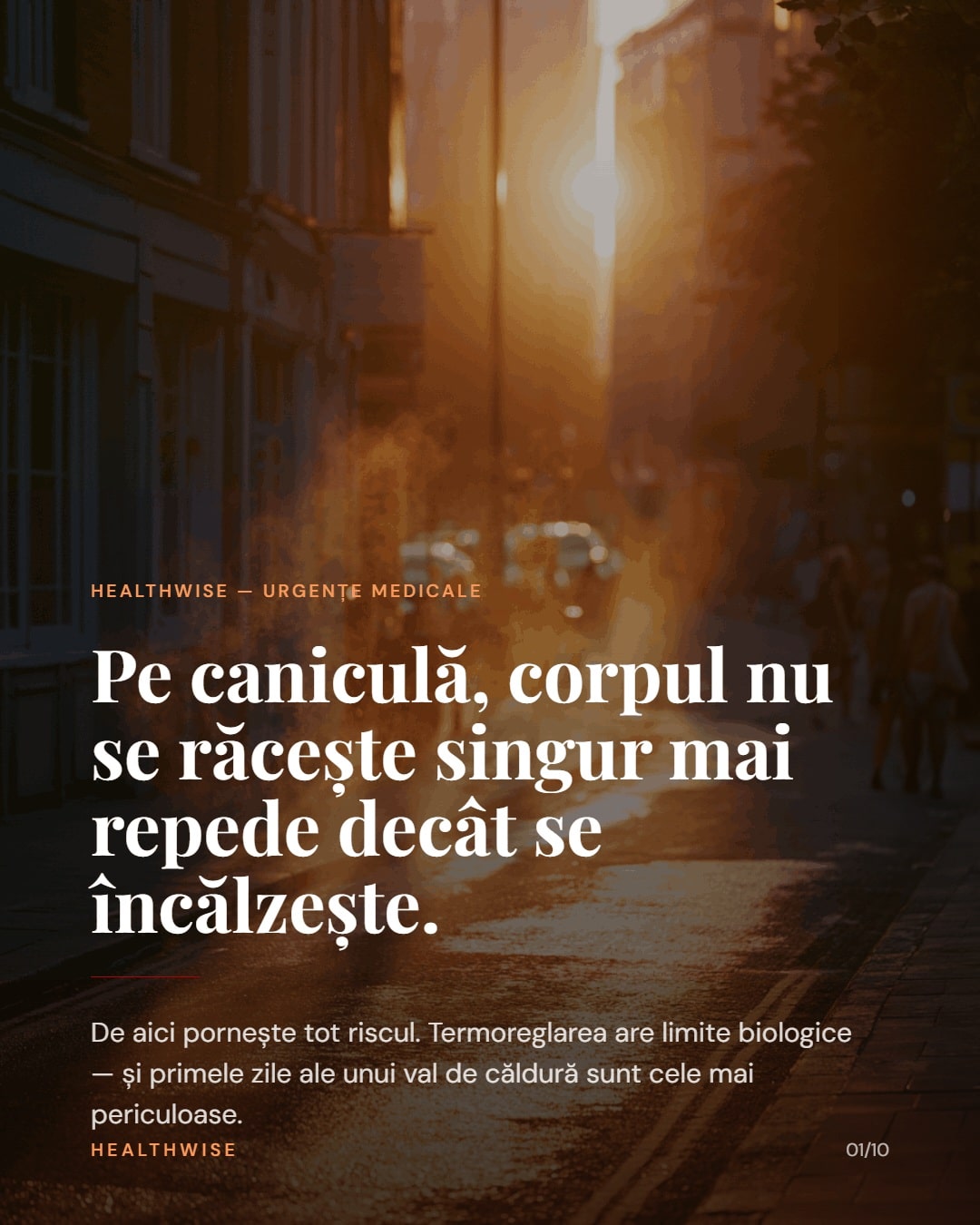 Caniculă și șoc termic: termoreglare, urgențe și protocol practic