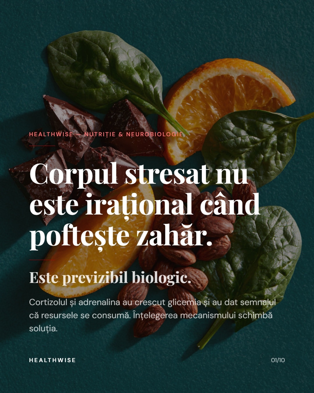 Nutriția în stres intens — ce consumă corpul când mintea rămâne în stare de alertă