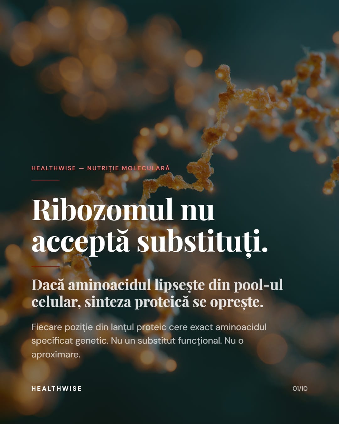 Aminoacizii esențiali: 9 molecule pe care corpul nu le poate produce și nu le poate înlocui — material vizual Healthwise