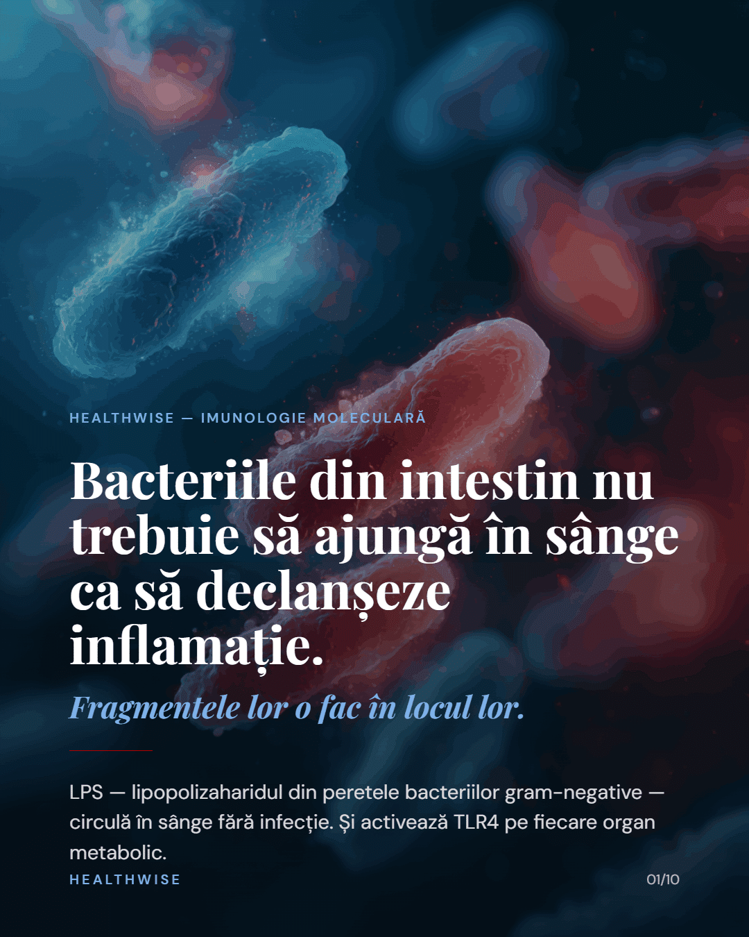 TLR4 și inflația metabolică — LPS, endotoxemie și rezistență la insulină