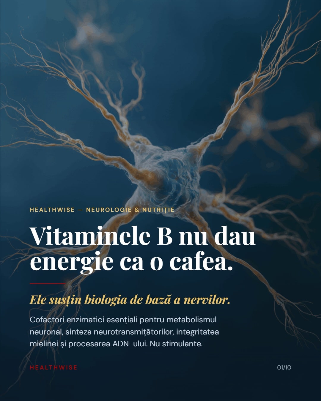 Vitaminele B — Cofactori ai sistemului nervos, nu stimulante