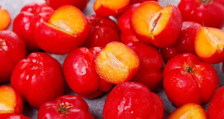 Beneficiile acerolei nu se opresc la vitamina C &mdash; iar fructul verde conține mai multă dec&acirc;t cel copt
