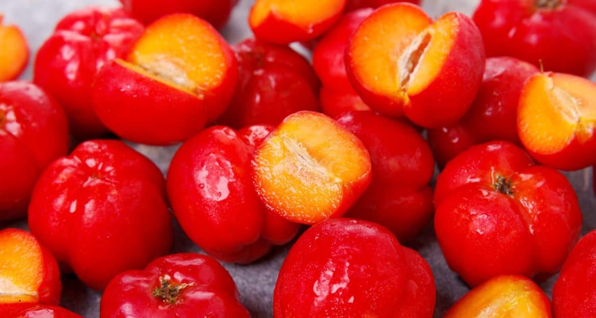 Beneficiile acerolei nu se opresc la vitamina C — iar fructul verde conține mai multă decât cel copt