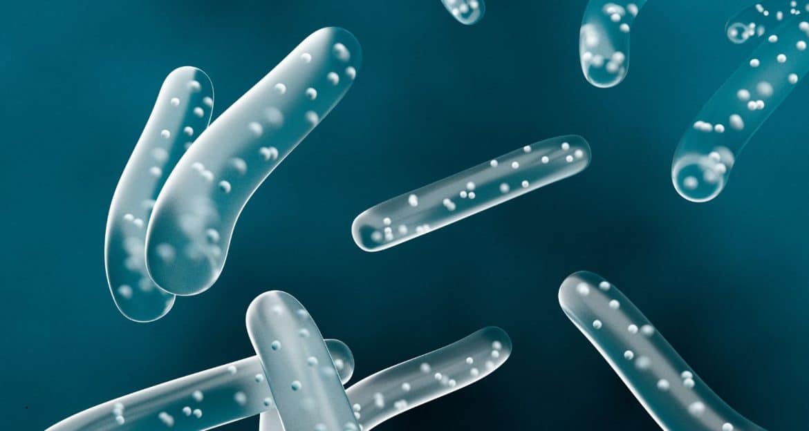 Un probiotic nu este o specie, ci o tulpină: cazul Lactobacillus casei Shirota