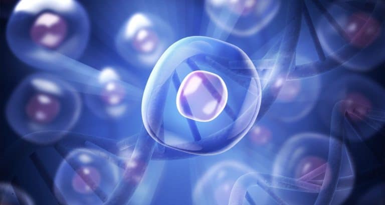 Cele 9 hallmarks of aging au devenit 12 &mdash; și asta schimbă felul &icirc;n care ar trebui citită orice promisiune anti-aging