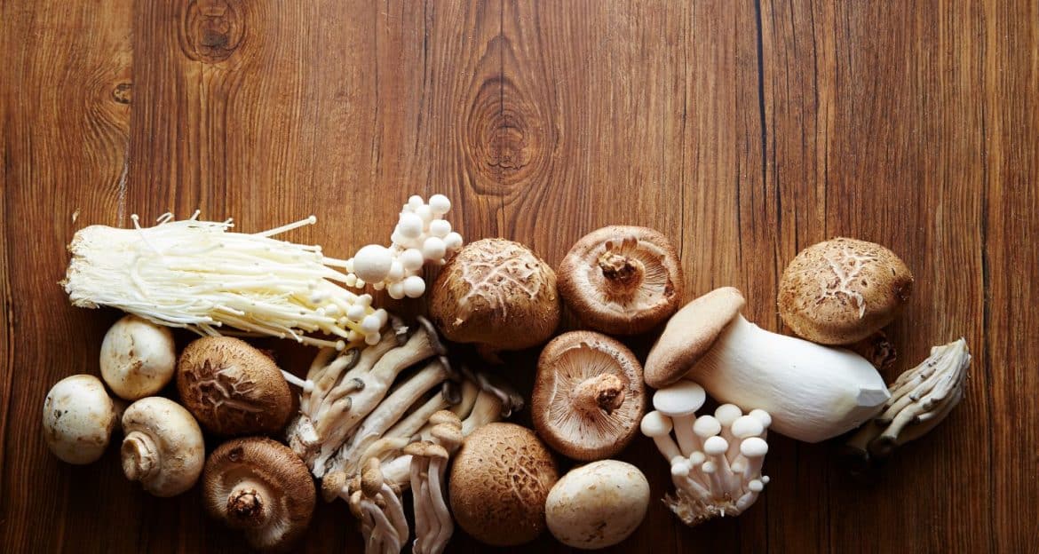 Ciuperci medicinale: reishi, shiitake, maitake, coada-curcanului și Lion’s Mane — ce spune cercetarea reală
