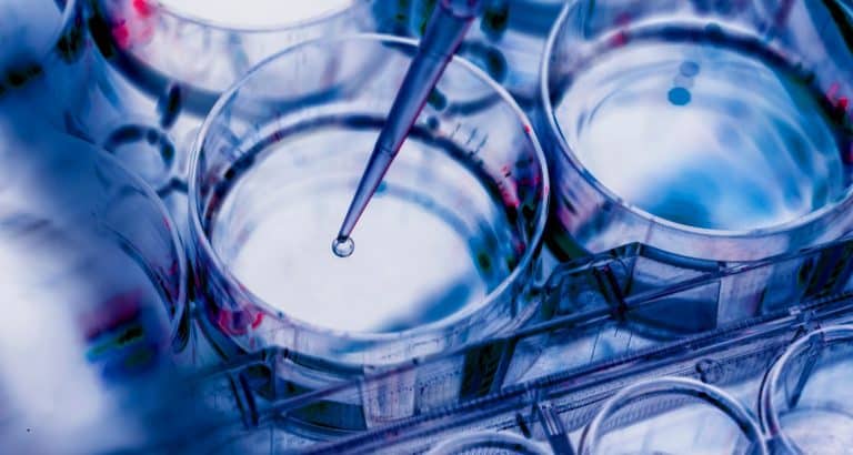 Descoperiri medicale 2026, primele șase luni: medicina a &icirc;ncetat să mai trateze consecința