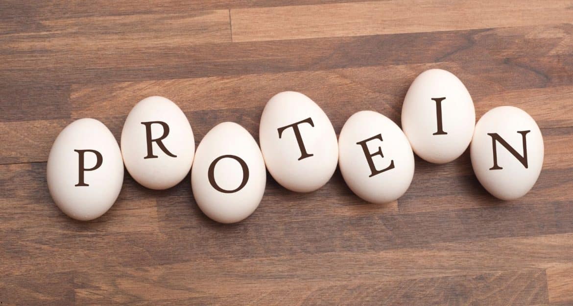 Proteina animală vs vegetală: comparație completă pentru sănătate