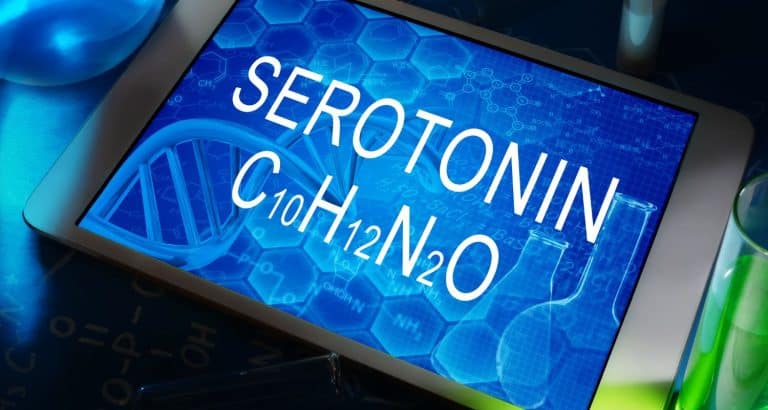 Serotonina &icirc;ncepe cu triptofanul, dar majoritatea acestuia nu ajunge niciodată serotonină