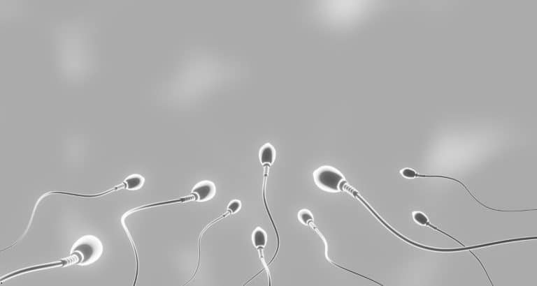 Spermograma: valori normale, pregătire și interpretarea rezultatului