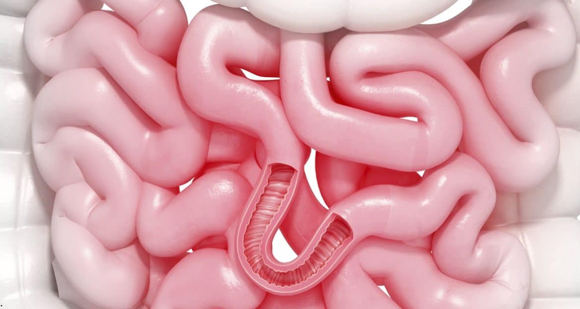 Transplantul fecal în colonul iritabil: microbiota donorului nu a depășit placebo în studiul REFIT2